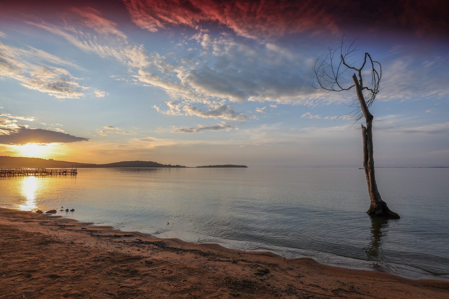 A sandy shore at sunset on Lake Victoria, with a bare tree standing in shallow water and a jetty in the distance.