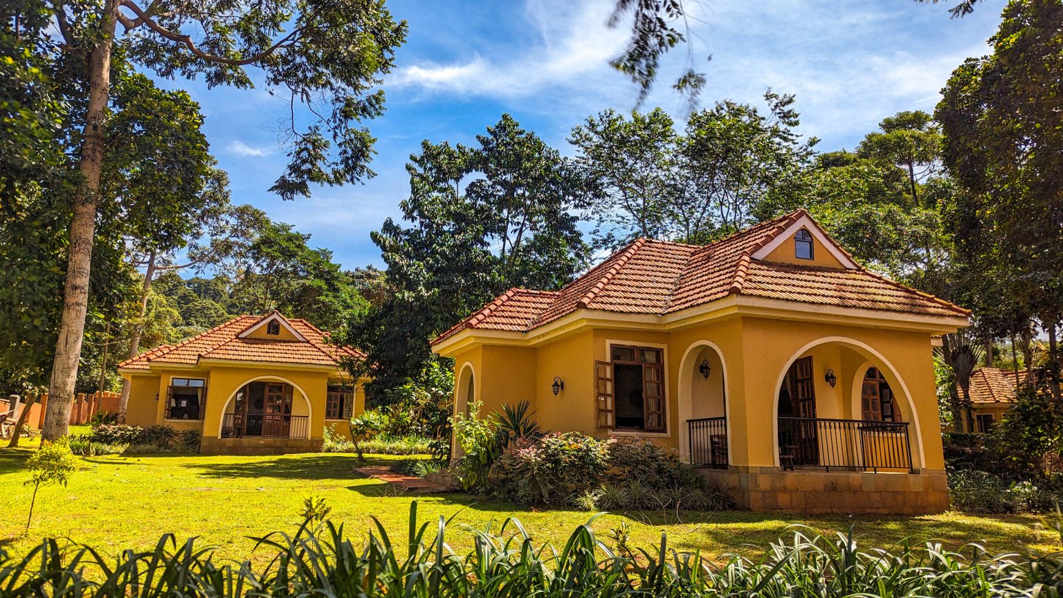 Two yellow cottages with terracotta roofs and arched verandas sit on a bright green lawn framed by tall forest trees under a blue sky.