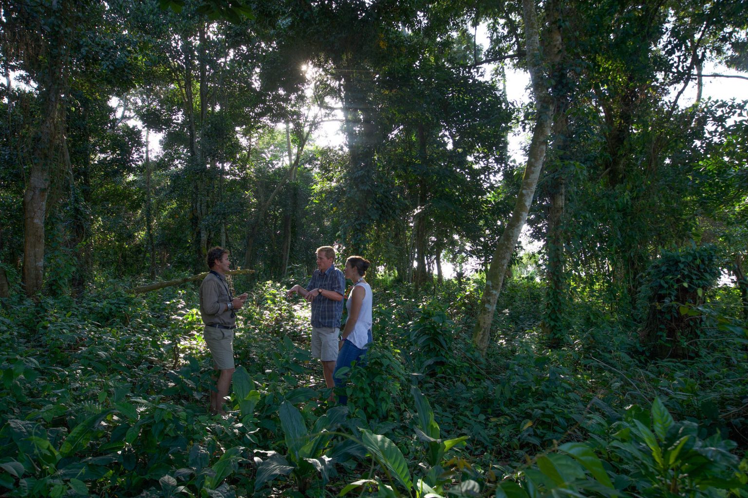 A guide talks with two visitors in a clearing surrounded by tall forest trees and dense green undergrowth, with sunlight breaking through the canopy.