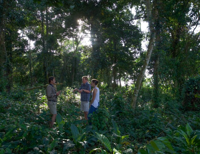 A guide talks with two visitors in a clearing surrounded by tall forest trees and dense green undergrowth, with sunlight breaking through the canopy.