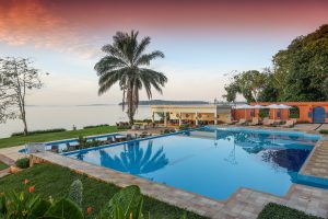 A large swimming pool beside Lake Victoria at first light, with a tall palm, a poolside bar and loungers.