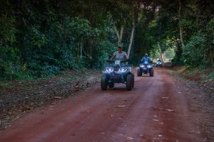 Three quad bikes with headlights on ride in single file along a red-earth track cut through dense green forest.