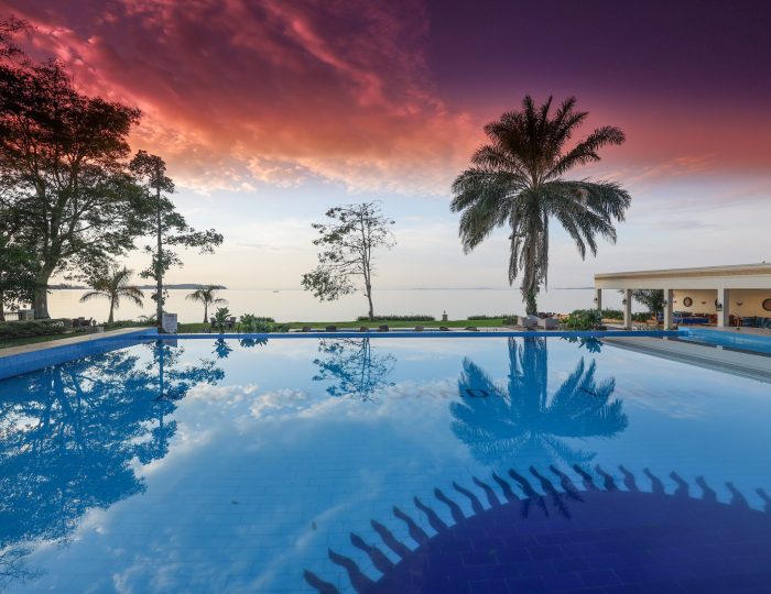 A swimming pool mirroring a palm tree and a vivid red and purple sunset sky above Lake Victoria.